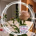Heather Greenwell - @hgreenwell - Instagram