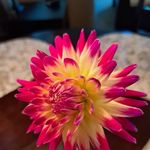 Heather Vance Grigg - @grigghm - Instagram
