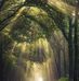 Heather Grissom - Facebook