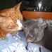 Heather Haberman - Facebook