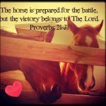 Heather Hackney - @equstrian_life - Instagram