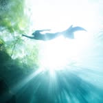 Heather Hagan - @aurora_aquatales - Instagram