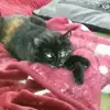 heatherhagan107 - @heatherhagan107 - TikTok
