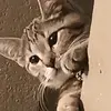 Heather Hagedorn - @heather.hagedorn8 - TikTok