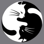 HeatherHaggard - @heatherhaggard1954 - Instagram