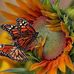 Heather Haire - Facebook