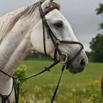 Heather Haire - @heather.haire.39 - Instagram