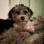Heather Osadchuk Halvorson - @hhalv04 - Instagram