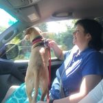 Heather Harner - @scooterbuzz - Instagram