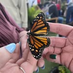 Heather Kline Harner - @nurseharner - Instagram