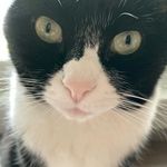 Heather Heise - @heatherinthewings - Instagram
