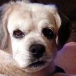 Heather Heise Ellingsworth - @heatherheiseellingsworth - Instagram