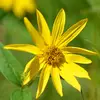 Heather Heiser703 - @heatherheiser703 - TikTok