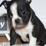 Heather Helmick - @heather.helmick.7 - Instagram