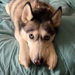 Heather Hermann - @heather.leigh.25 - Instagram