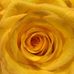 Heather Hermanson - Facebook