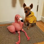 Heather Herold - @heather_h44 - Instagram