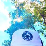 ACCOUNT MOVED: Heather Higdon - @hhdaisyceo - Instagram