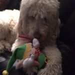 Heather Higdon - @higgy233 - Instagram