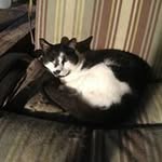 Heather Ann Hilbert Reum - @hahr121212 - Instagram