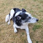 Heather Hodgson - @heatherh_homemade - Instagram
