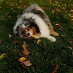 Heather Hodson-gilfman - @hgilfman - Instagram