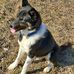 Heather Hoffmaster - Facebook