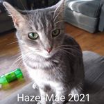 Heather Hicks-Holbert - @squirrellymoma - Instagram