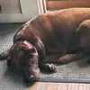 heatherholbert - @heatherholbert - TikTok