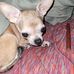 Heather Honaker - Facebook