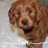 Heather Hopp - @heatherh071 - TikTok