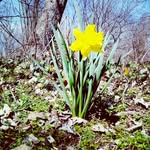 Heather Hulse - @heather_runs_on_plants - Instagram