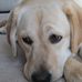 Heather Hultgren - Facebook