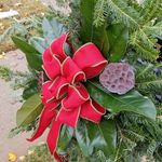 heather green hutson - @infullbloom_ga - Instagram