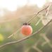 Heather Irvin Photography - Facebook