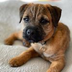 Heather Irving - @dougals_days - Instagram