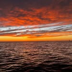 Heather Janssen - @heathdo - Instagram