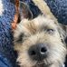 Heather Jarman - Facebook