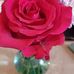 Heather Jarrell - Facebook