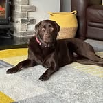 Heather Johnstone - @heather.johnstone.144 - Instagram