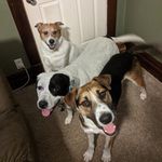 Heather Jolley - @hezjolley - Instagram