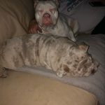 Heather Kearns - @bellathepocket - Instagram