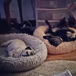 Heather Keister - @keister.heather - Instagram