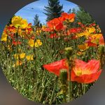 Heather Kendrick - @heatherkendrick837 - Instagram