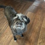 Heather Kendrick - @islandsnowball - Instagram