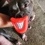 Heather Kendrick Jaeckels - @heatherjaeckels - Instagram