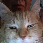 Heather Keyes - @keyes.heather - Instagram