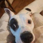 Heather Keys - @norwexbyheatherkeys - Instagram