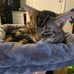 Heather Kiger - Facebook