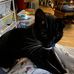 Heather Kiger - Facebook
